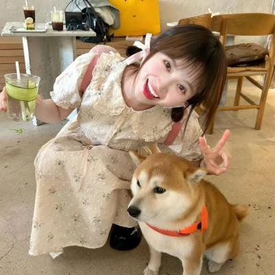小杜丽 在线观看